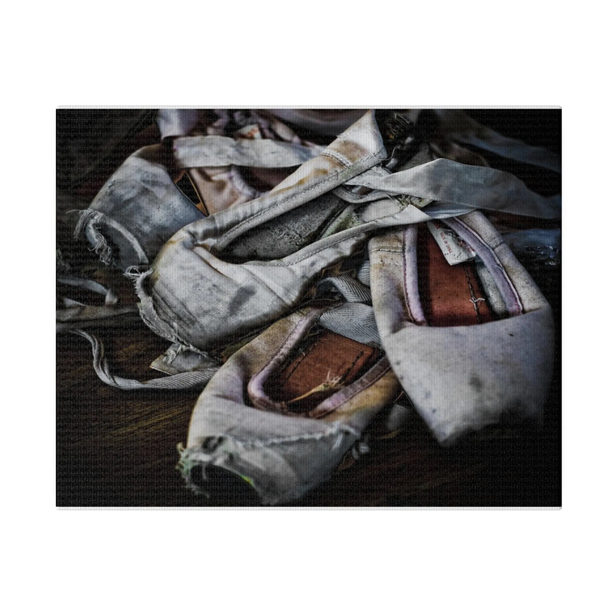 Ballet Slippers Matte Canvas