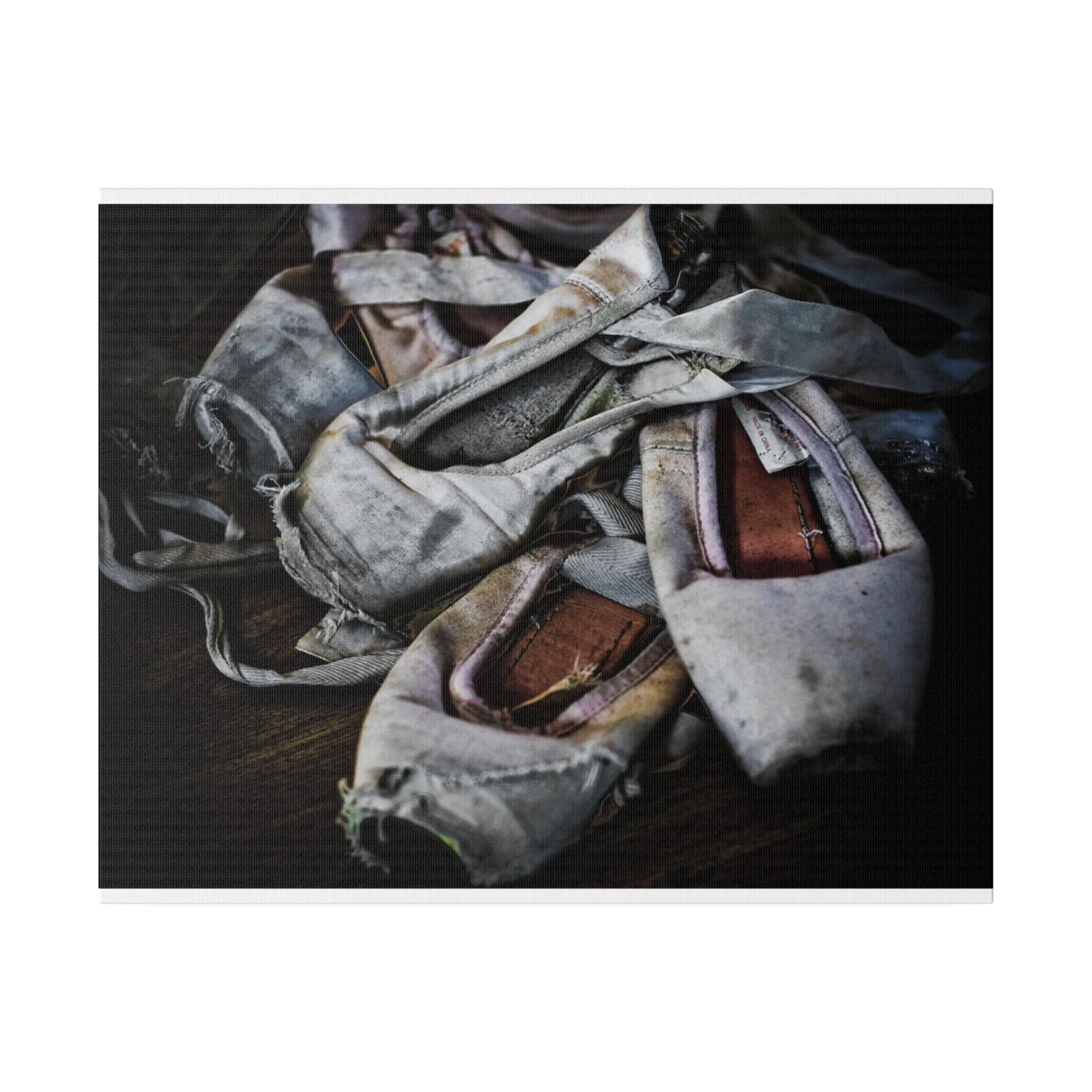 Ballet Slippers Matte Canvas