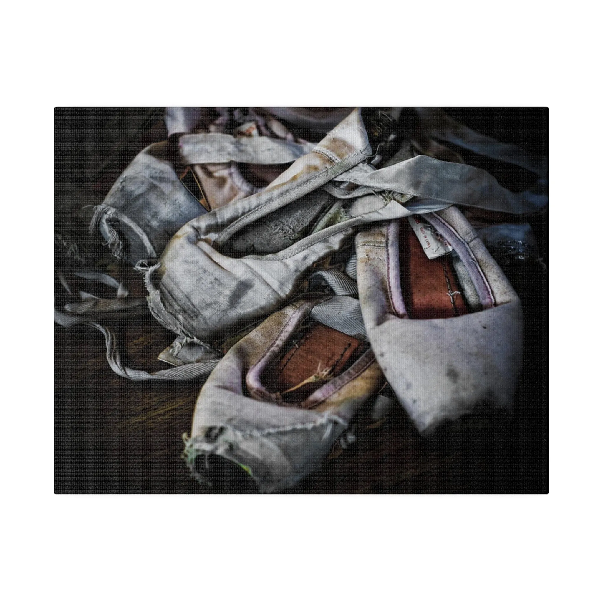 Ballet Slippers Matte Canvas