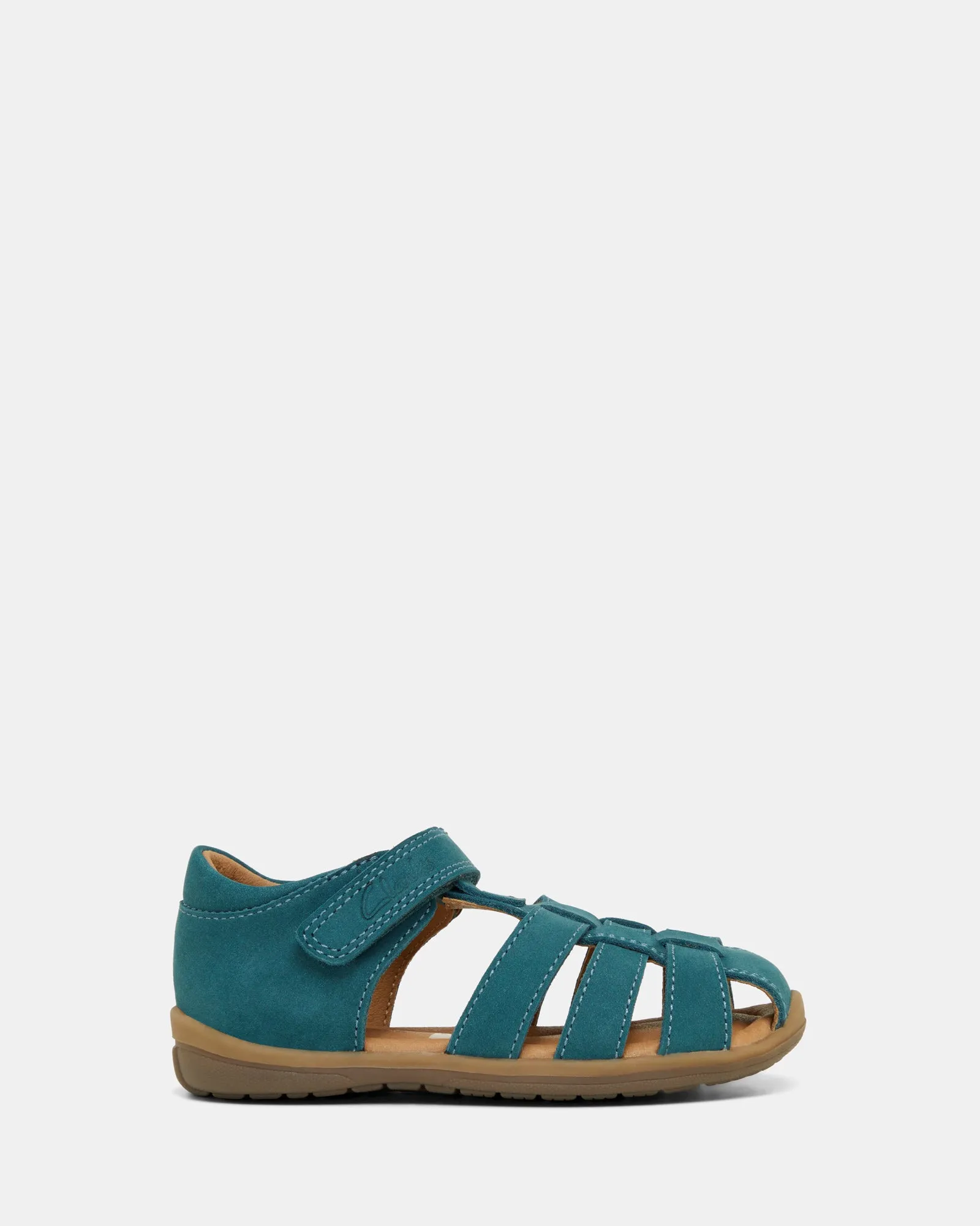 Mateo Teal